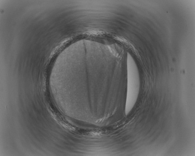 X0000079580496200612221434