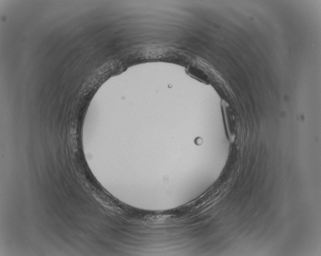 X0000079580497200612221434