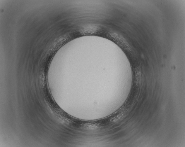 X0000079580498200612221434