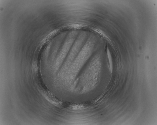 X0000079580500200612221434