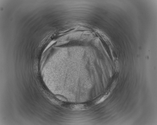 X0000079580501200612221434