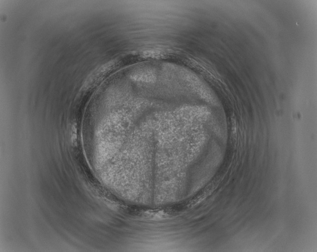 X0000079580502200612221434