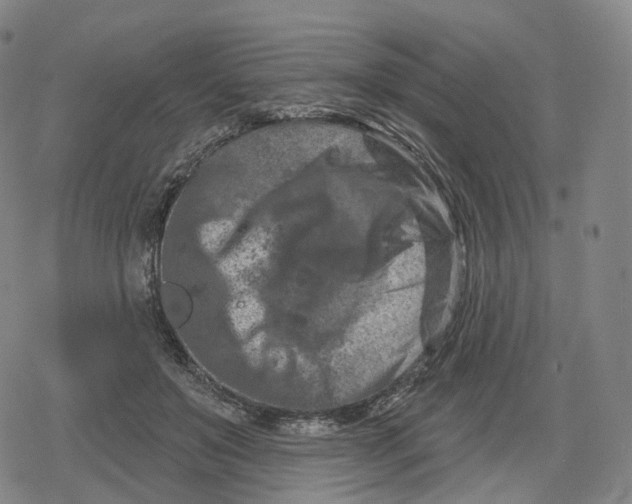 X0000079580503200612221434