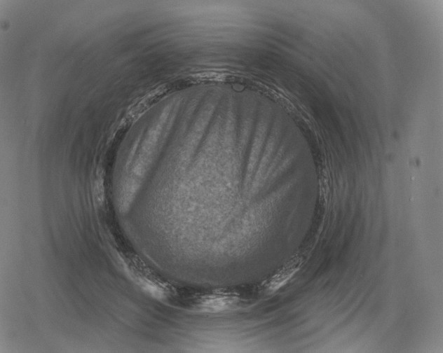 X0000079580504200612221434