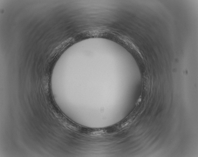 X0000079580505200612221434