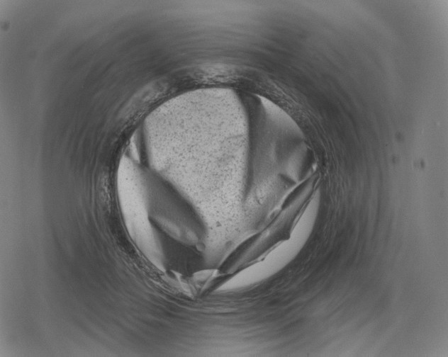 X0000079580506200612221434