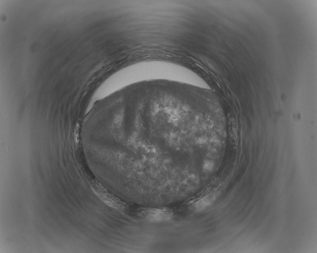 X0000079580507200612221434