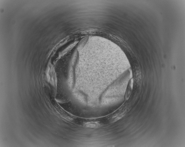 X0000079580508200612221434