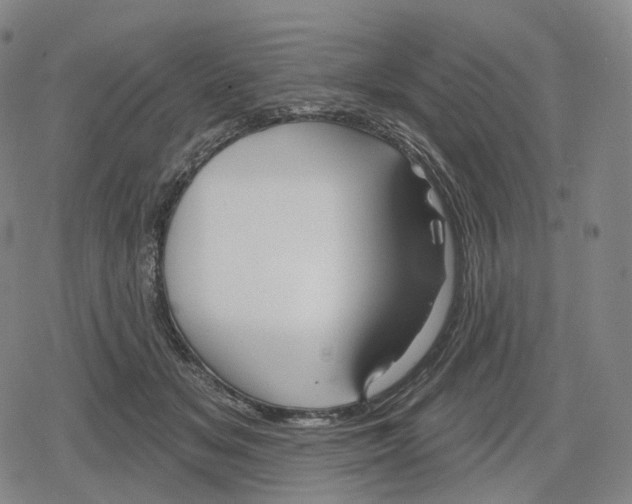 X0000079580509200612221434