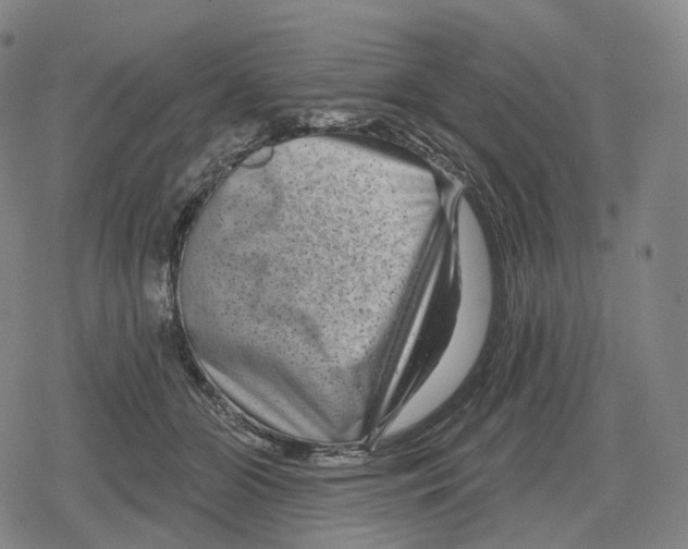 X0000079580510200612221434