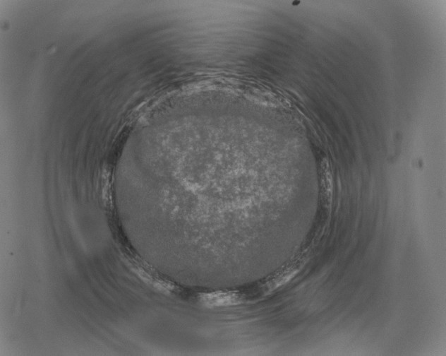 X0000079580511200612221434