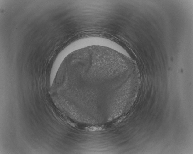 X0000079580512200612221434