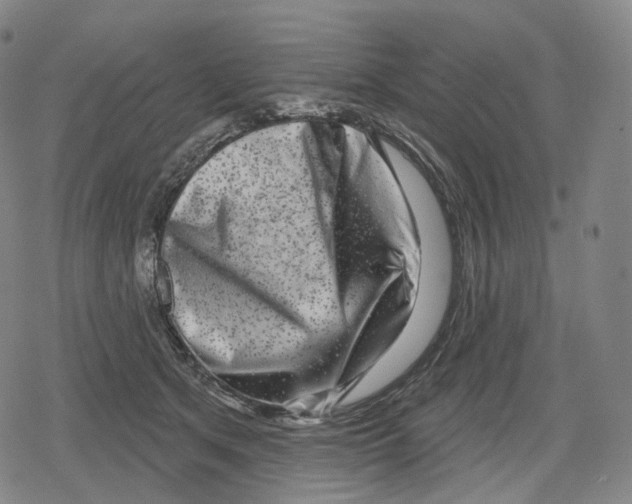 X0000079580513200612221434