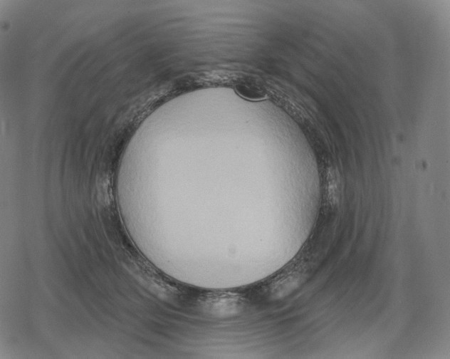 X0000079580514200612221434