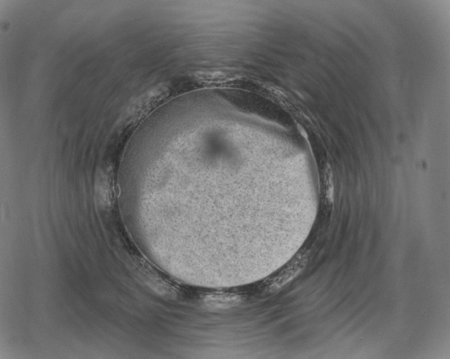 X0000079580515200612221434