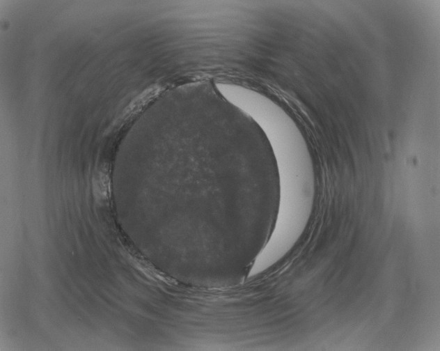 X0000079580517200612221434