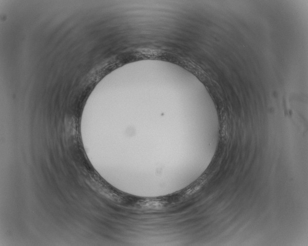 X0000079580518200612221434