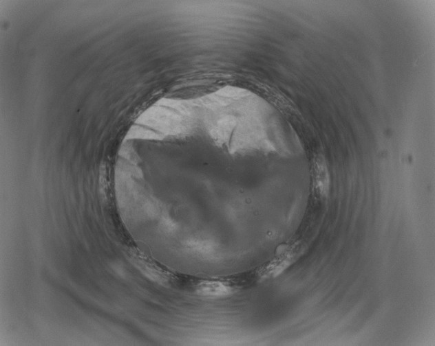 X0000079580519200612221434