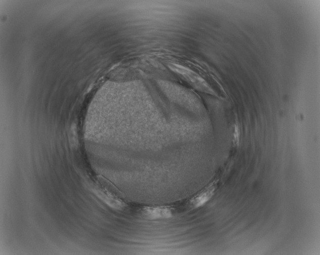 X0000079580520200612221434