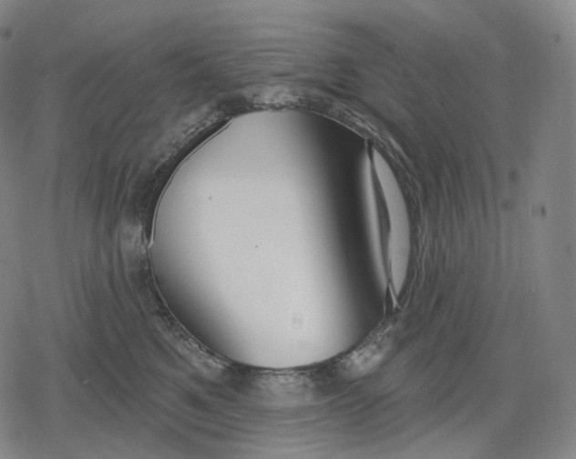 X0000079580521200612221434