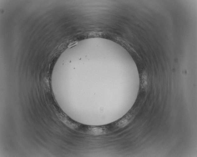 X0000079580522200612221434