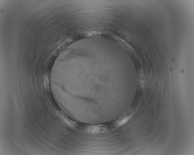 X0000079580523200612221434