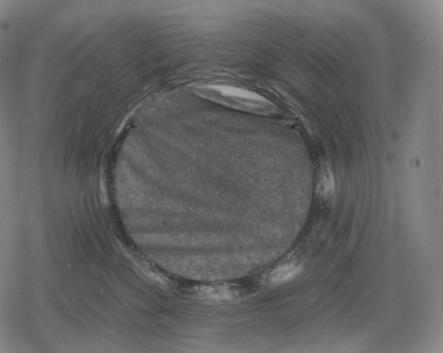 X0000079580524200612221434