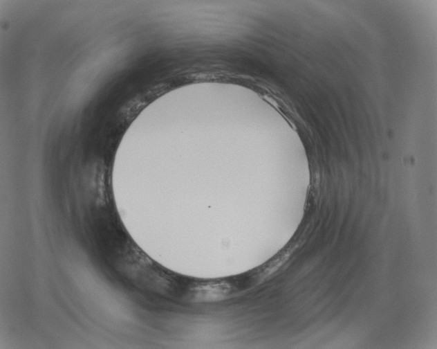 X0000079580525200612221434