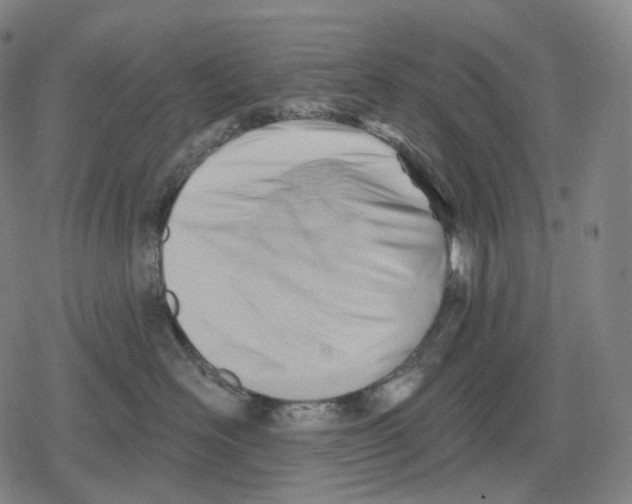 X0000079580526200612221434