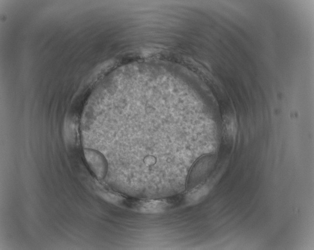 X0000079580527200612221434