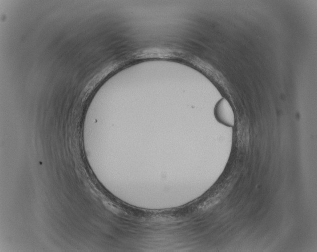 X0000079580529200612221433