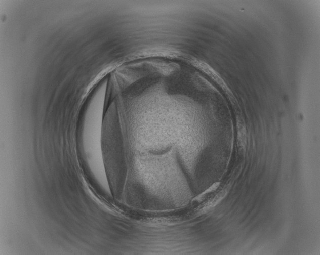 X0000079580530200612221433