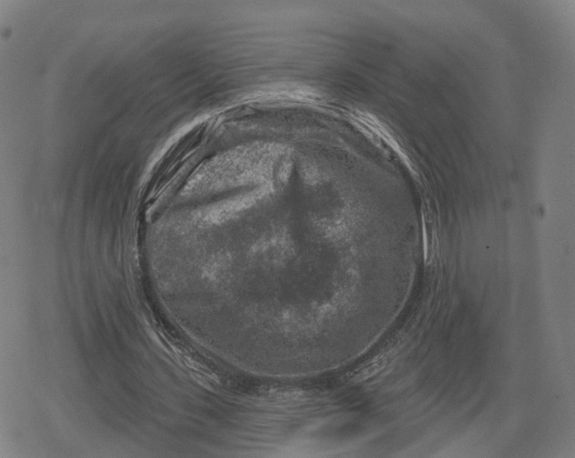 X0000079580531200612221433