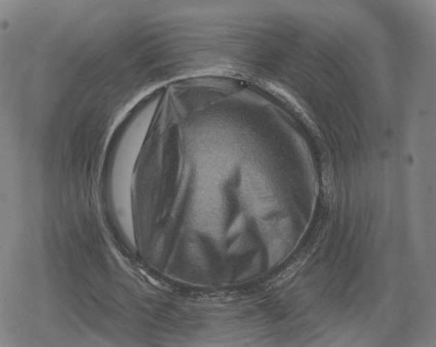 X0000079580532200612221433