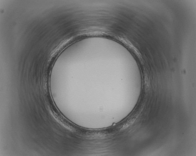 X0000079580533200612221433