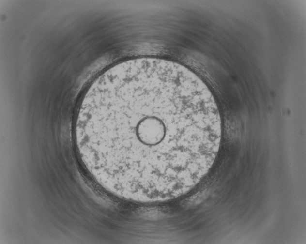 X0000079580534200612221433