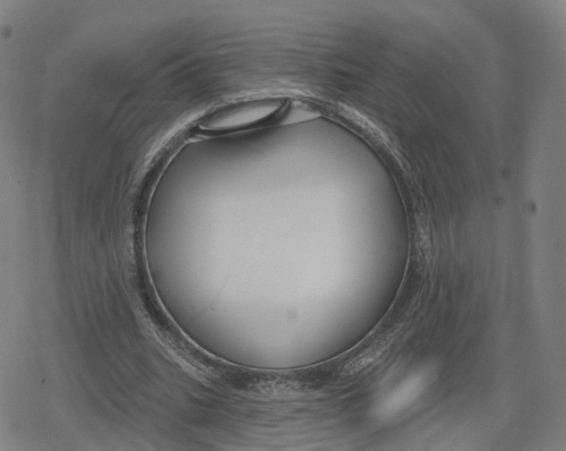 X0000079580535200612221433