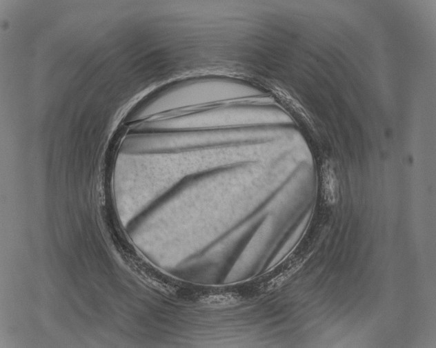 X0000079580536200612221433