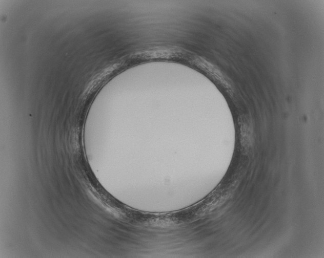 X0000079580537200612221433