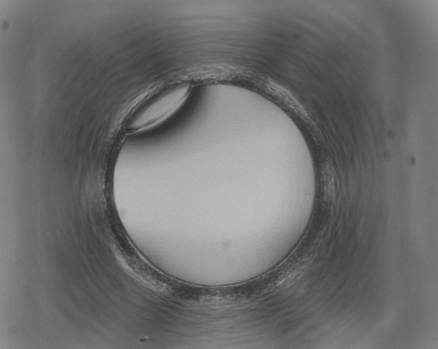 X0000079580538200612221433