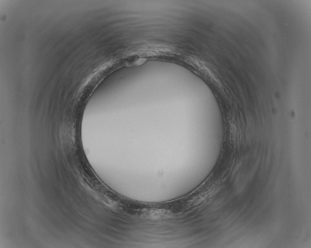 X0000079580539200612221433