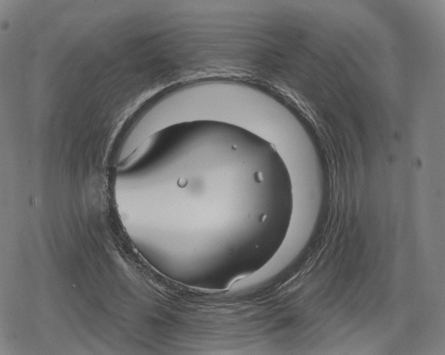 X0000079580540200612221433