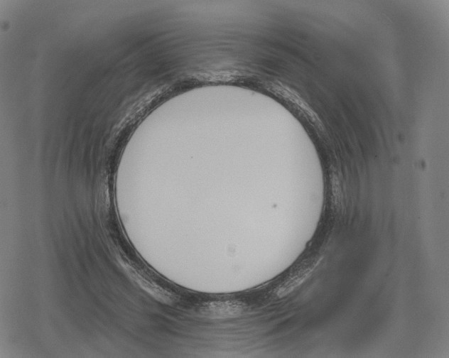 X0000079580541200612221433