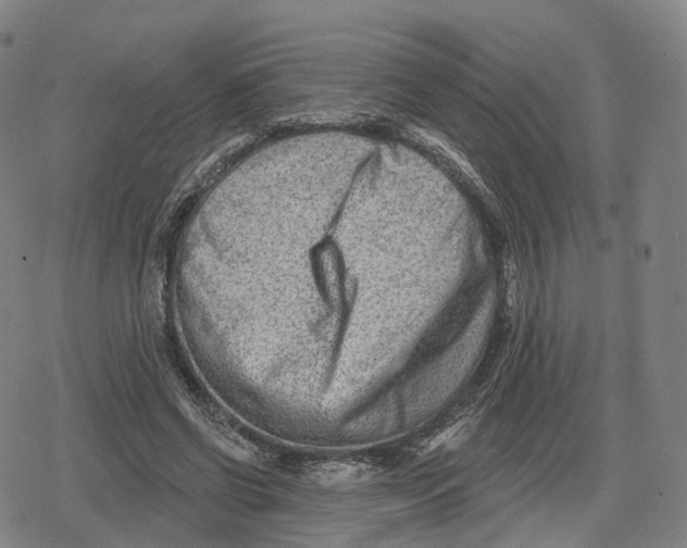 X0000079580542200612221433