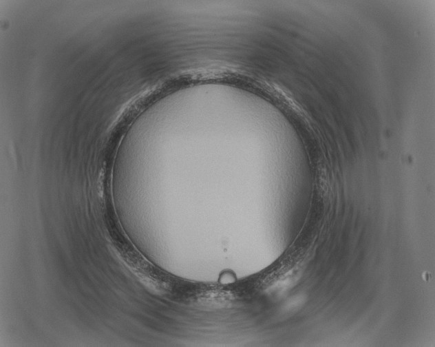 X0000079580543200612221433