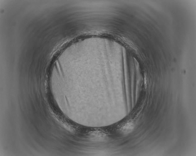 X0000079580544200612221433