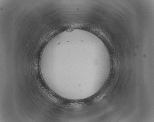 X0000079580545200612221433