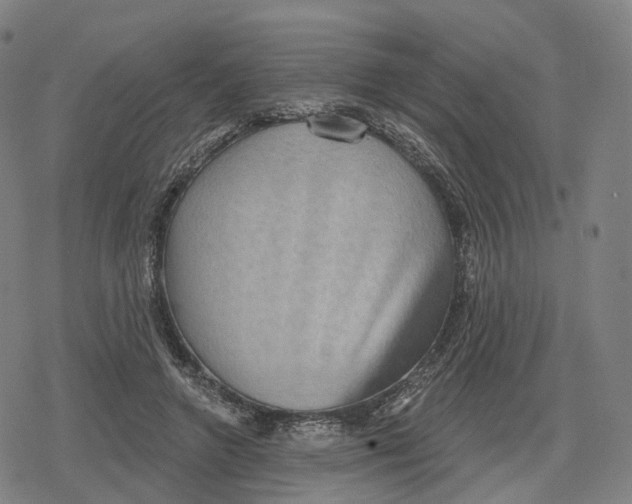 X0000079580546200612221433