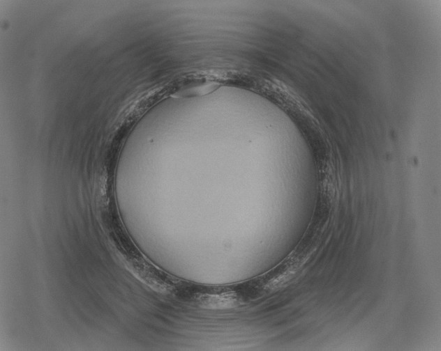 X0000079580548200612221433