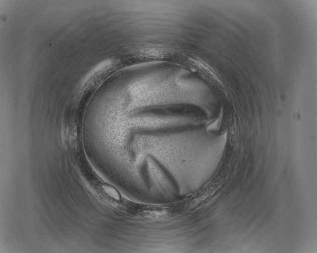 X0000079580552200612221433